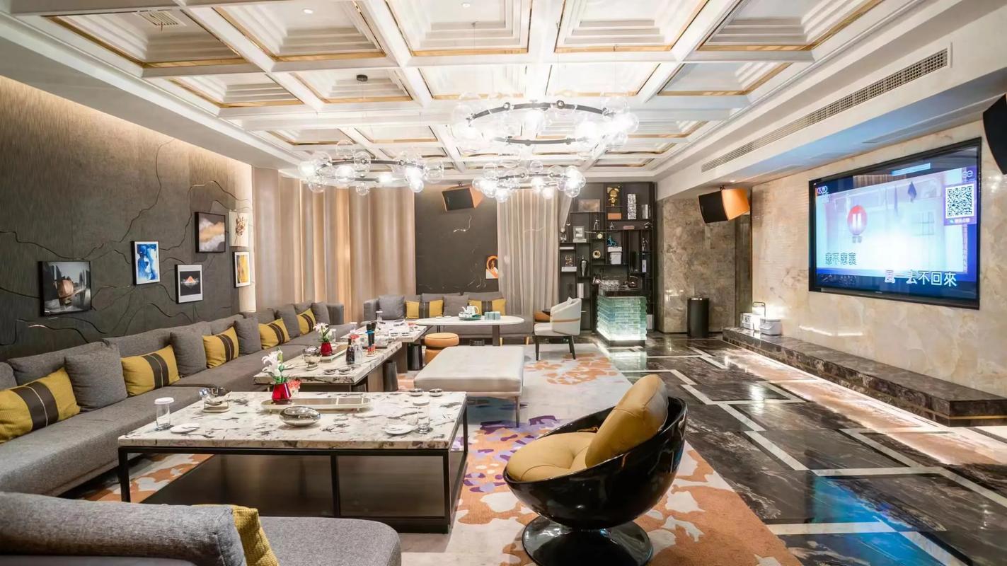 商务ktv攻略指南-修文县ktv预定